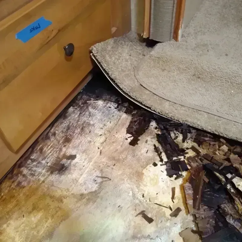 Wood Floor Water Damage in Shelbyville, IL